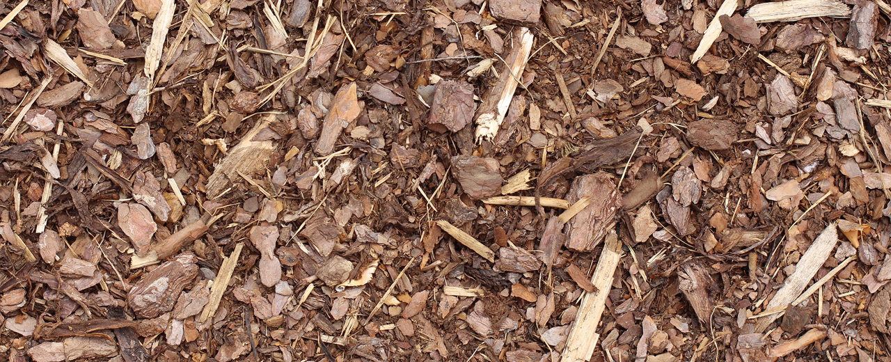 Biomassa cippato da legno