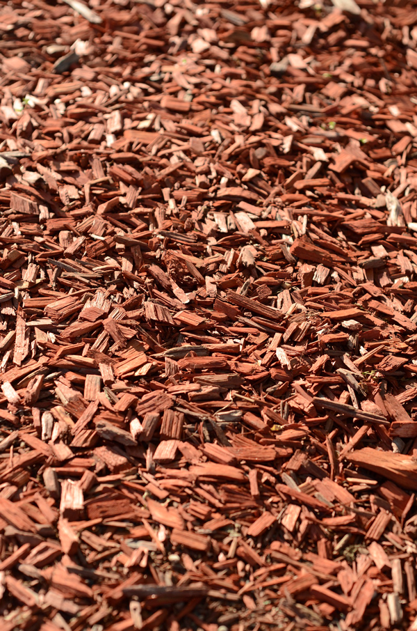 Biomassa cippato da legno